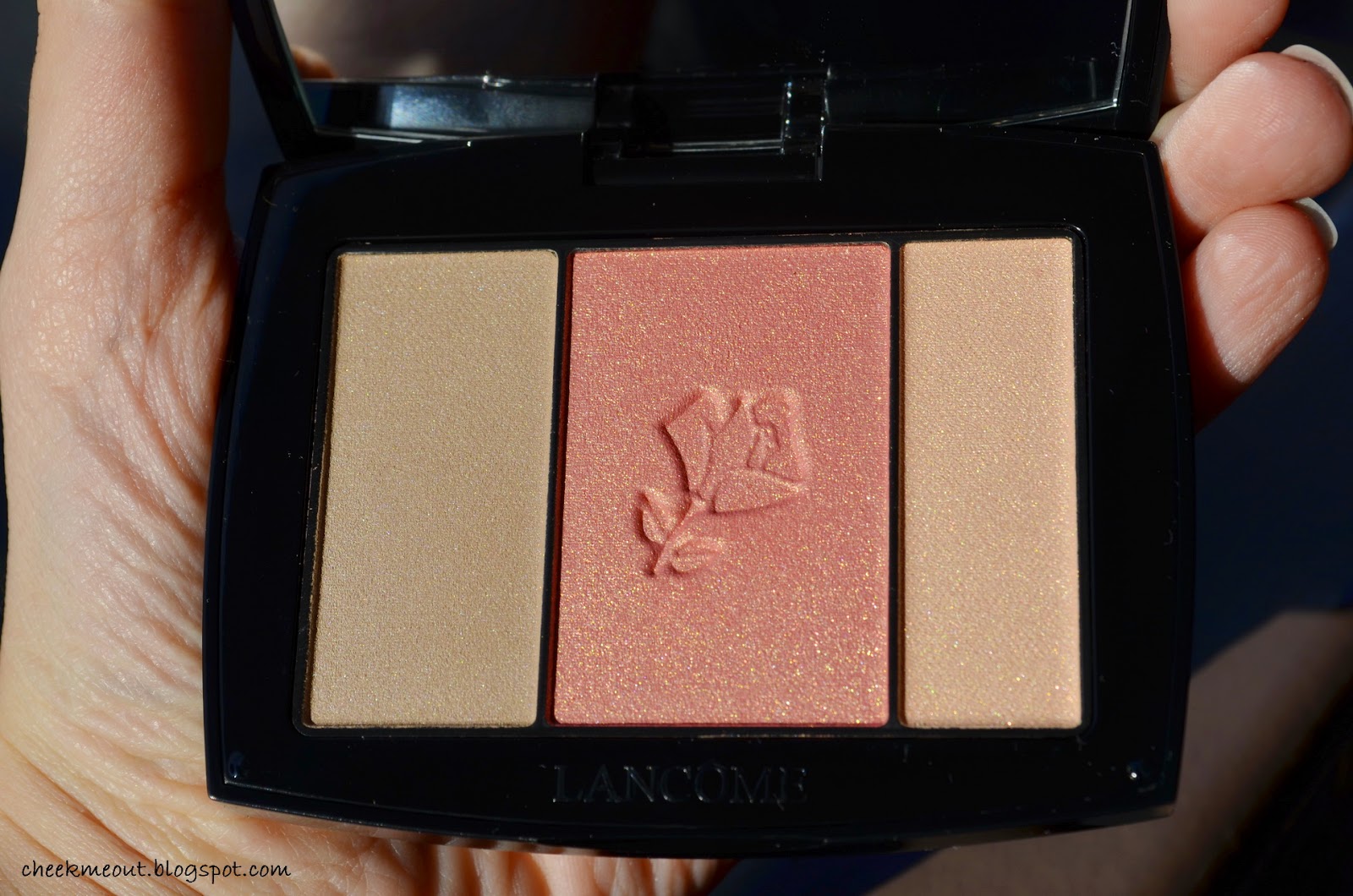Blush subtil palette Nectar lace review, photos, swatches My