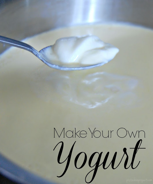 Make Your Own Yogurt - Costs half the price of store bought! It's so easy to make your own yogurt and you avoid lots of weird additives that are normally in store bought yogurt! #yogurt #homemade #ferment #breakfast #healthy