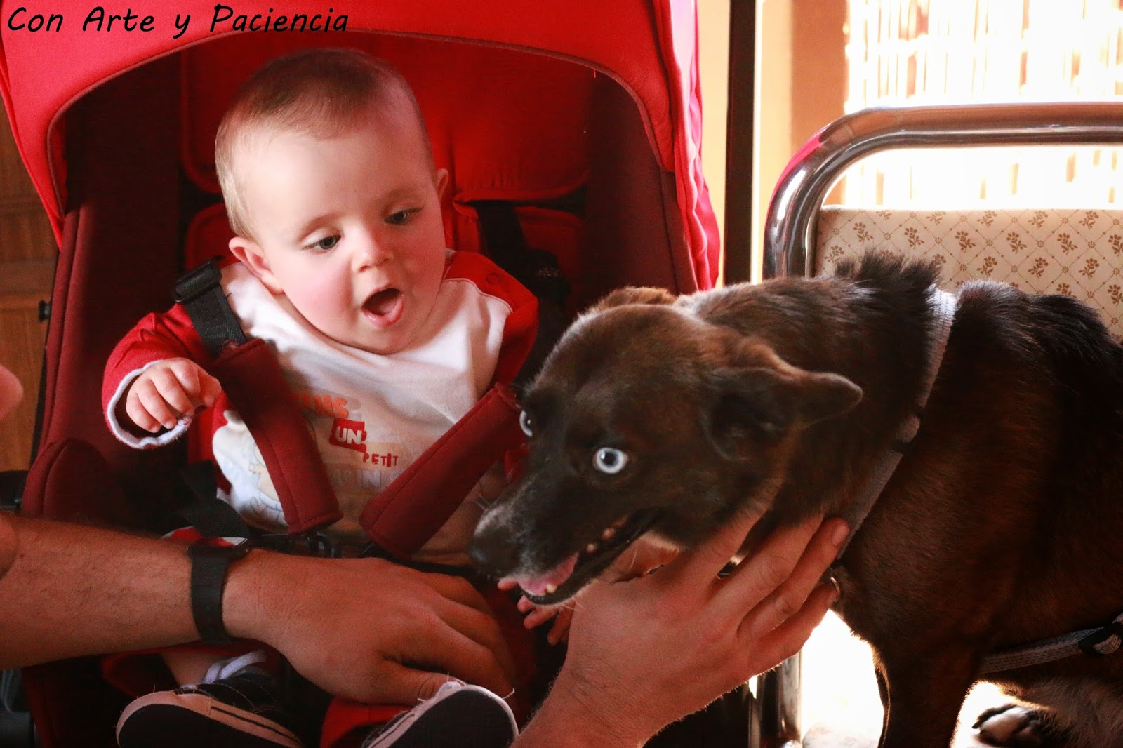 Tierna amistad entre bebe y perrito tierna,amistad,friendship,bebe,baby,perro,perrito,dog,doggy,ternura,preciosas,graciosas,fotos,entre,perrita,niño,pequeño,padres,mascotas,perros,pets,parents,risas,sonrisas,alegría,ventajas,happines,advantages,smile