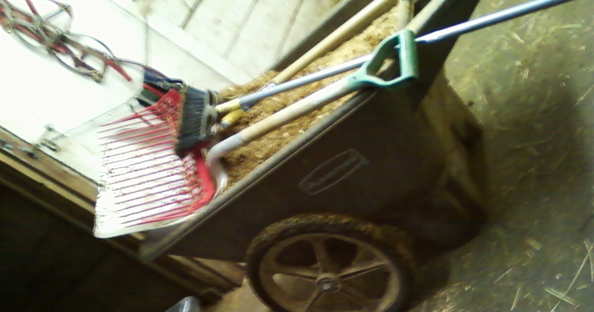 Equine Masterpiece My Job Mucking Stalls and HowTo