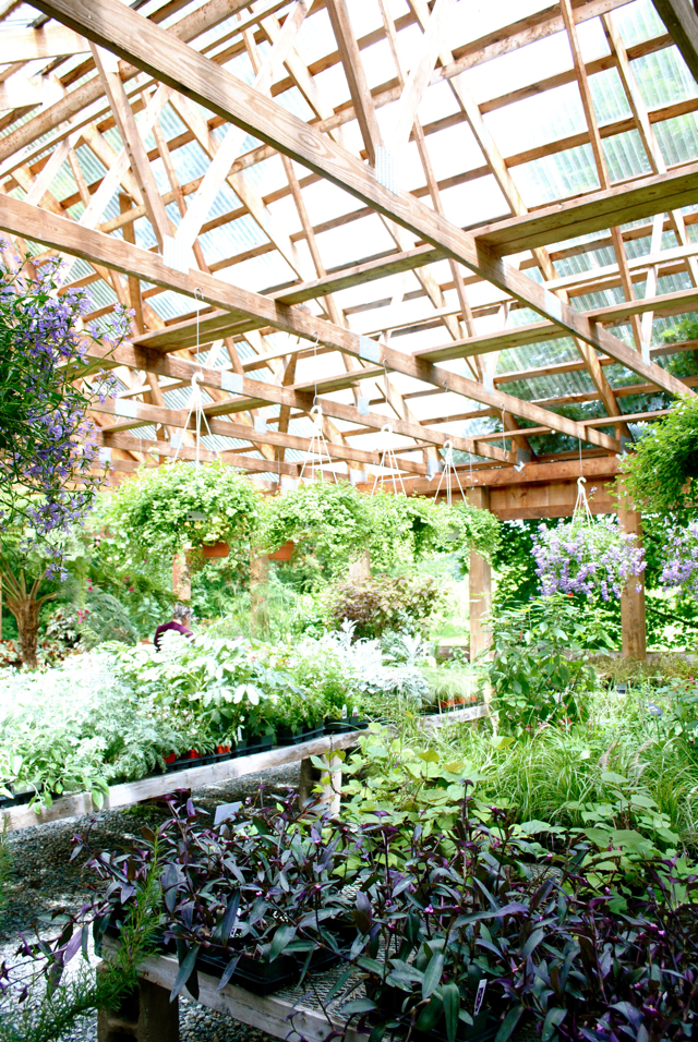 The Little Dog Blog SaintGaudens + Edgewater Farm