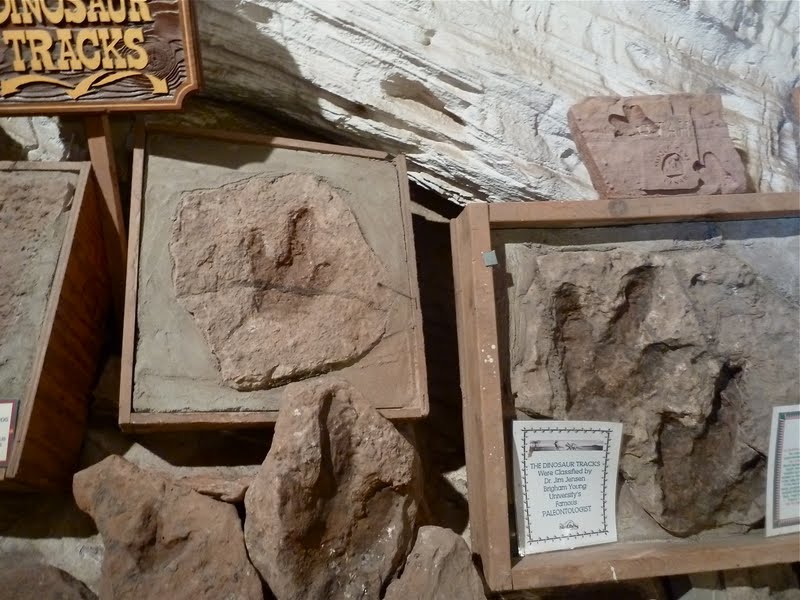 Where's Eldo? Zion National Park