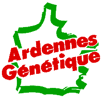 Ardennes génetique élevage