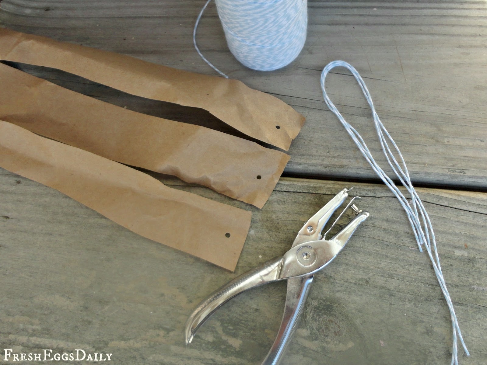 DIY Fly Strips + More Ways to Control Flies in your Coop and Run