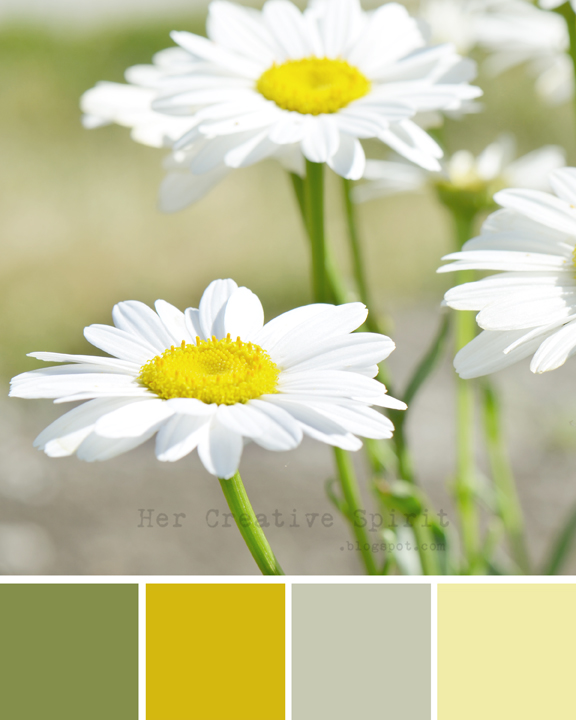 What color flower means royalty and speledor The Meaning Of Color