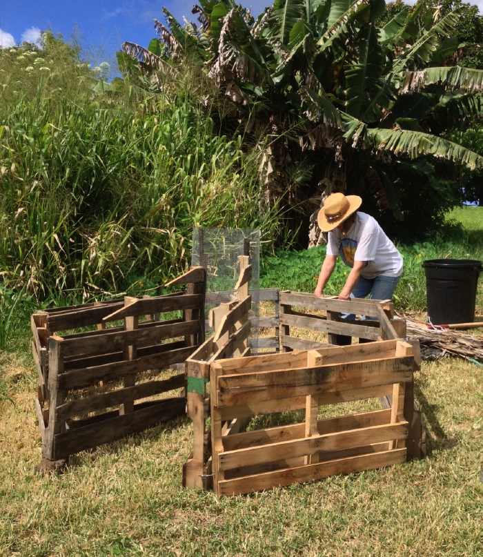 Homesteading in Hawaii: African Keyhole Garden - Step 1
