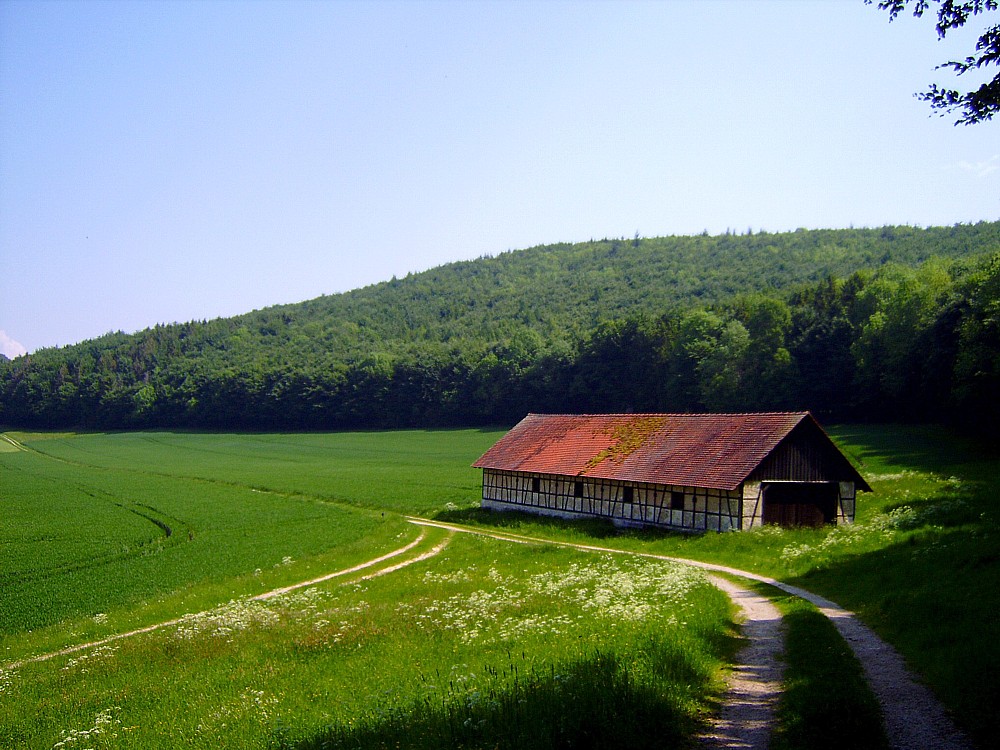 Lichtensteiner Blasmusik Kinderfasching