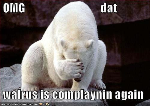 funny pictures polarbear face palm