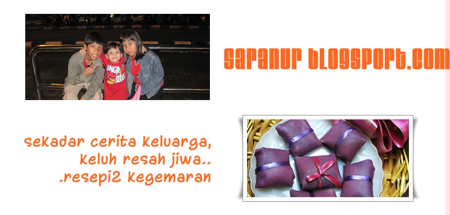 saranur74 blogsport.com