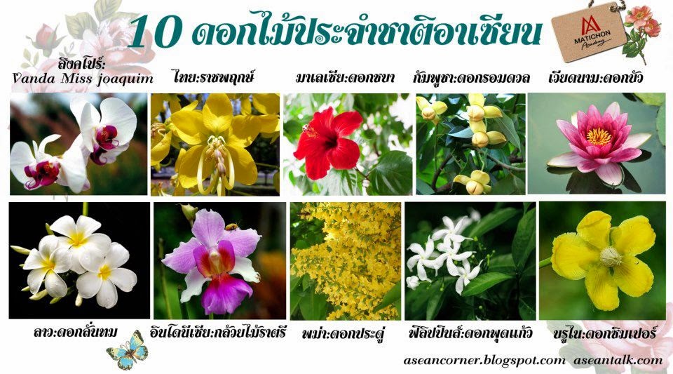 ดอกไม้ประจำชาติในอาเซียน
