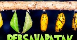 Rahma_Dha2: Lirik Lagu Sindentosca - Persahabatan Bagai Kepompong