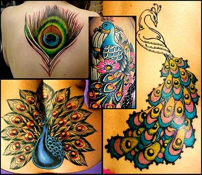 Tatuagem Pavão colorido na coxa. Tatuagem feminina. 