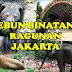 Harga Tiket Wisata Kebun Binatang Ragunan Jakarta