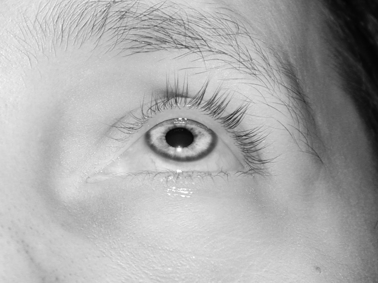 eye view photography