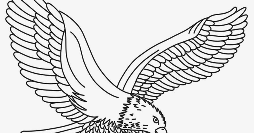 Mewarnai Gambar Burung Elang Mewarnai Gambar Rizal Mugni Herbal