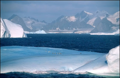 amazing antarctica