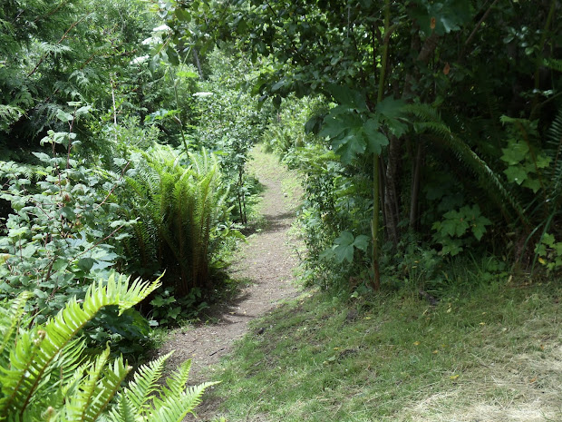 landscapes gardens design humboldt