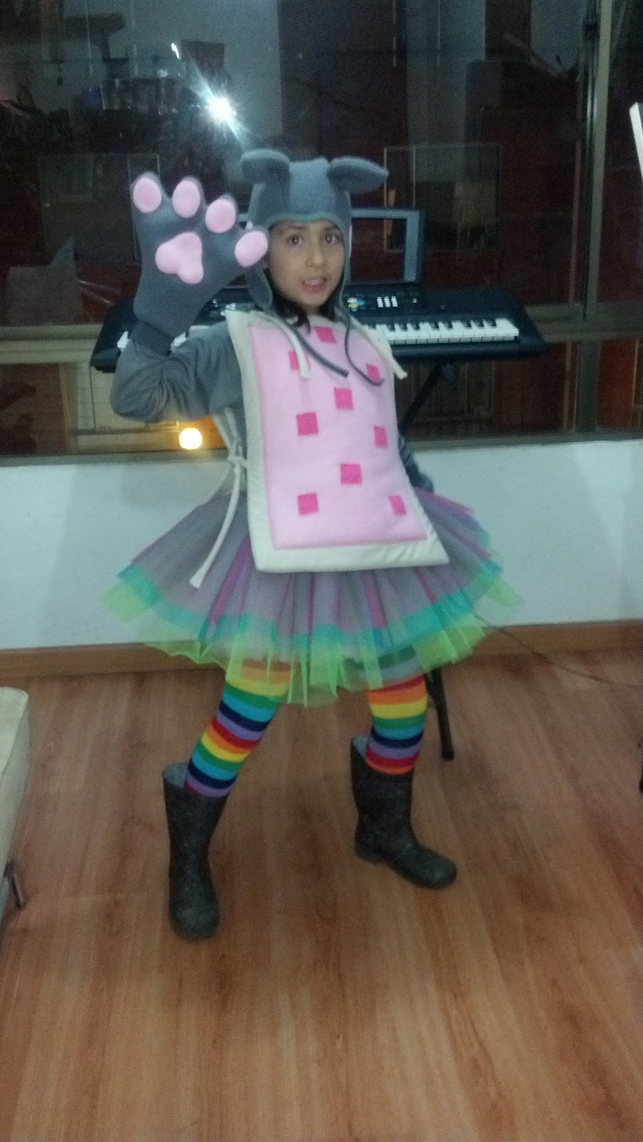 NYAN CAT JULIA Nyan Cat Costume 2012
