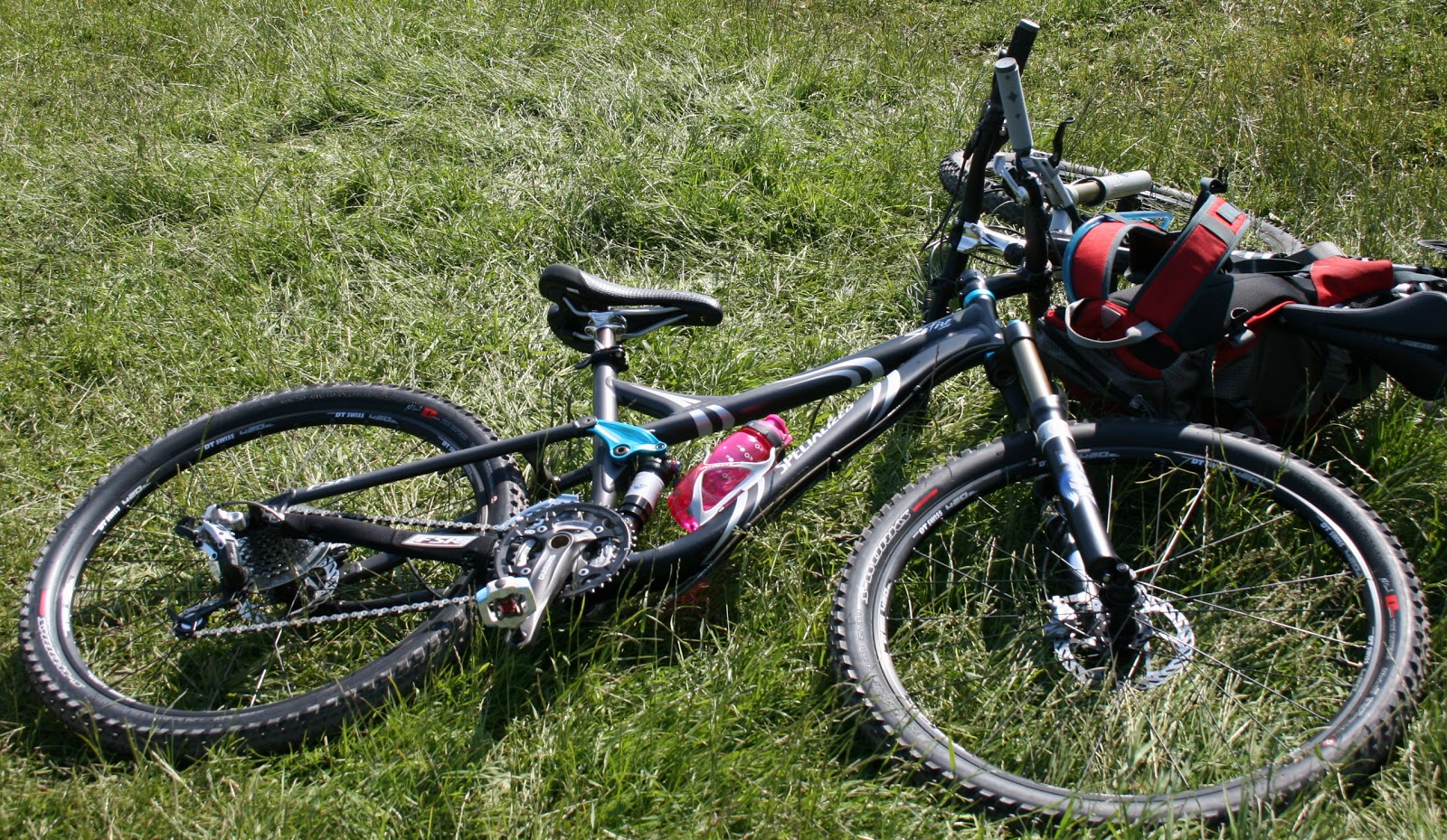 specialized safire comp