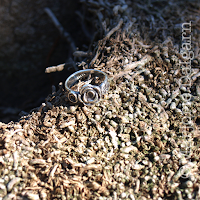 emelinepurcell.etsy.com | Stop and Smell the Roses Fine Silver Ring 