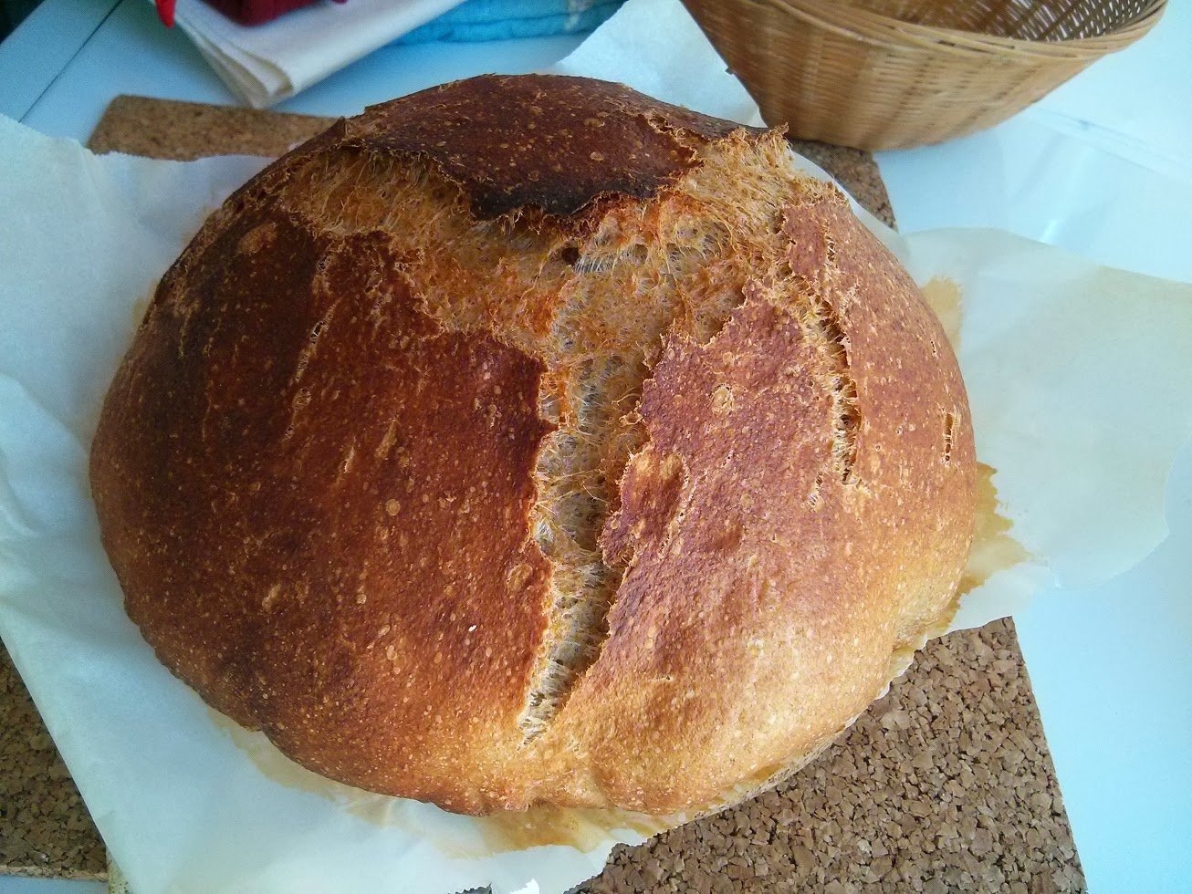 Sourdough dutch oven bread