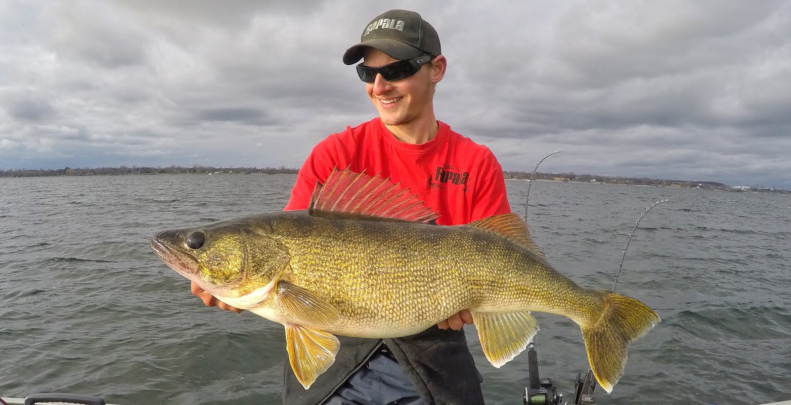 Bay of Quinte Walleye