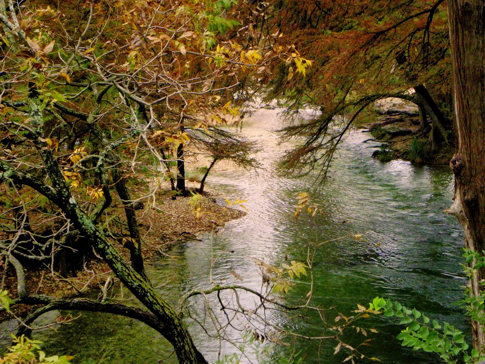 My Photographic Memories Our Visit To The Rio Frio And Concan Tx
