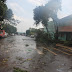 Ao menos 3 tornados atingiram cidade do Paraná, diz pesquisadora