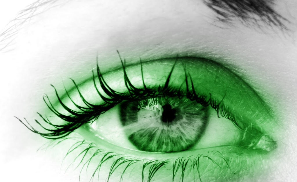 Free Eye Care Software Triviabox