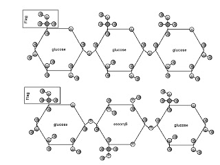 The big 4 building blocks of life 04fig02