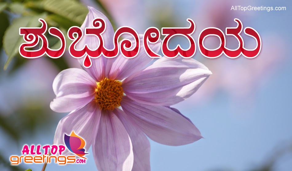 Nice Good Morning Greetings In Kannada Language All Top Greetings Telugu Hindi Greetings Tamil Greetings Kannada Greetings