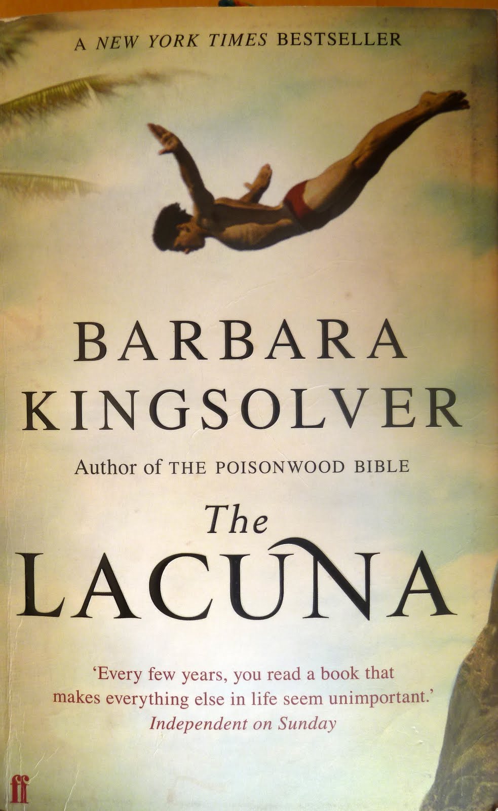 called out by barbara kingsolver