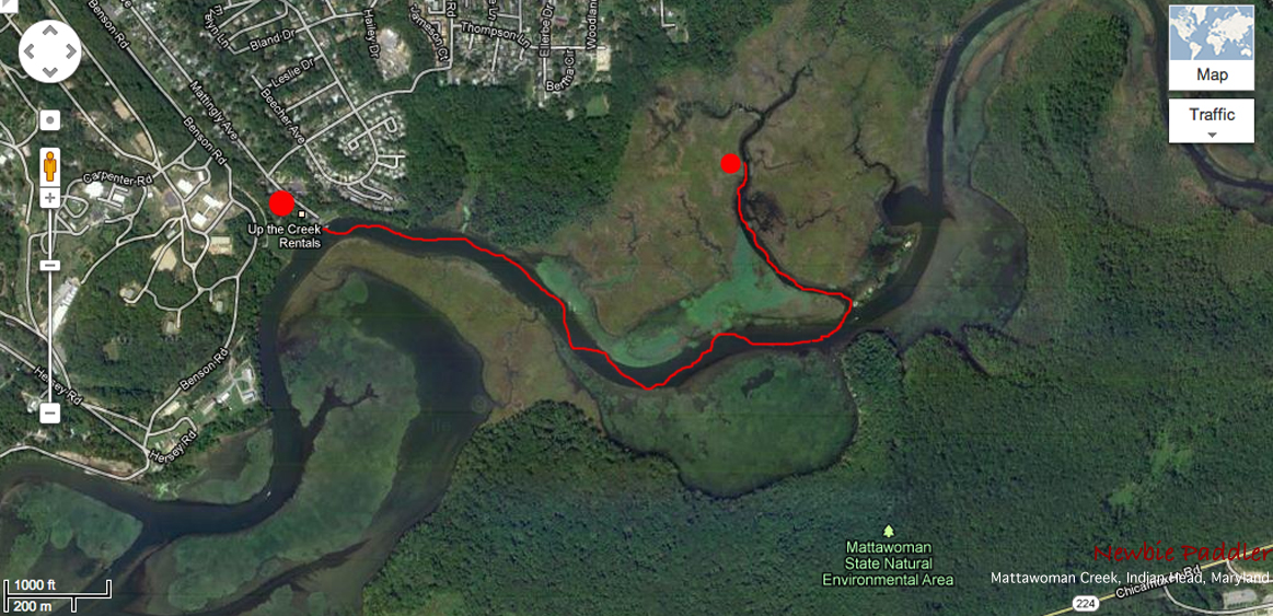 Newbie Paddler Mattawoman Creek, Indian Head, Maryland