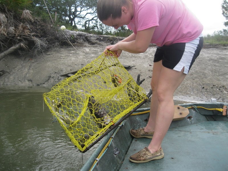 We Are The World Bait for Crab Traps