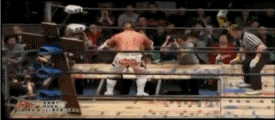 d.gif