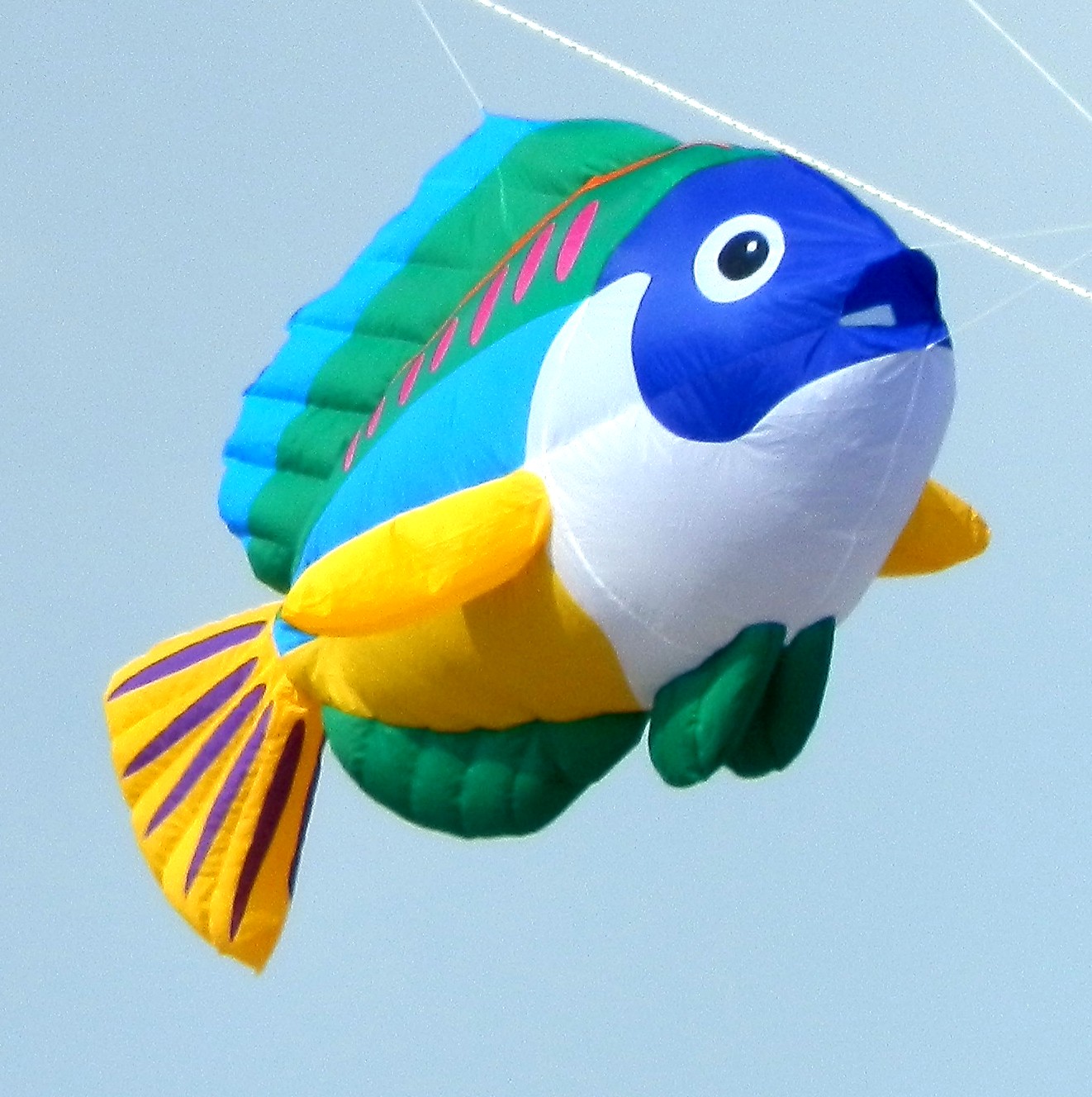 fish+kite+P2040037.JPG
