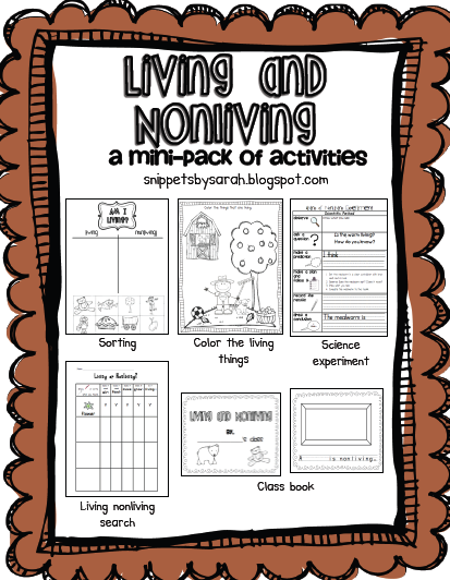 Sarah's First Grade Snippets: Living and Nonliving