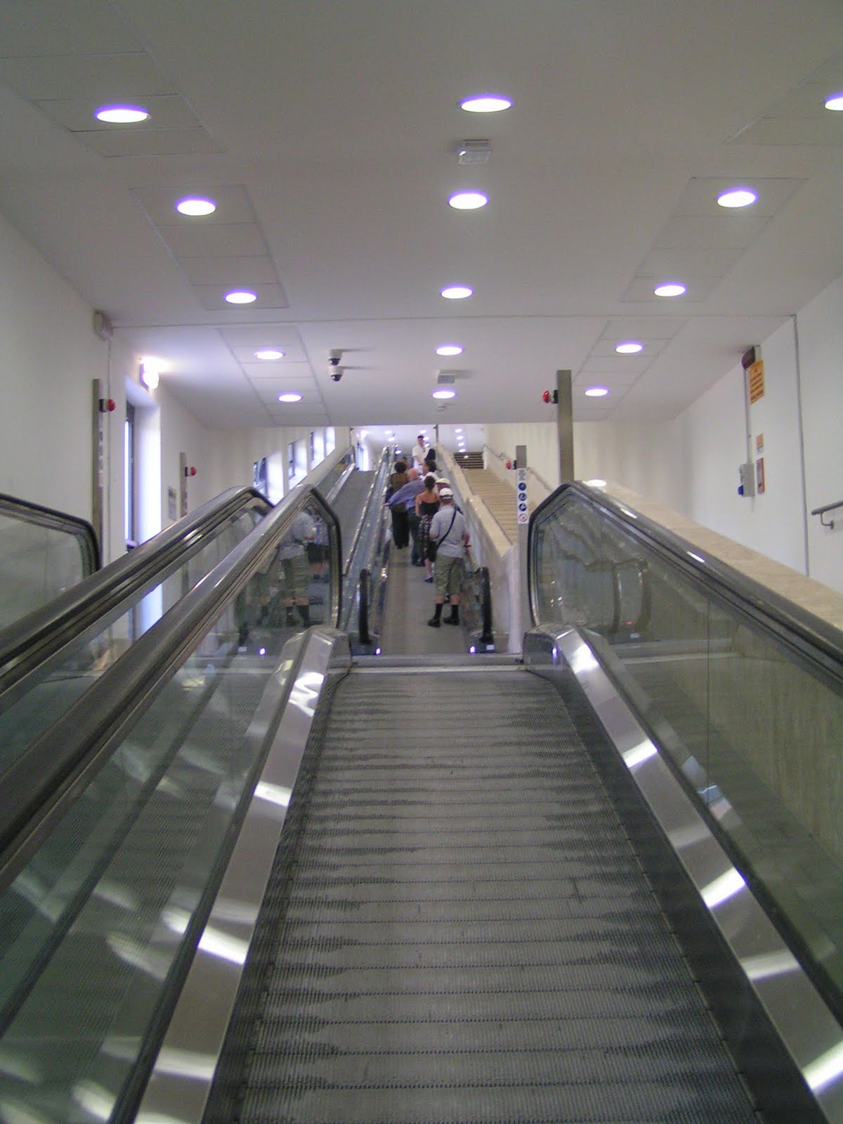 Environmentalist On A Mission Carfree in Italy