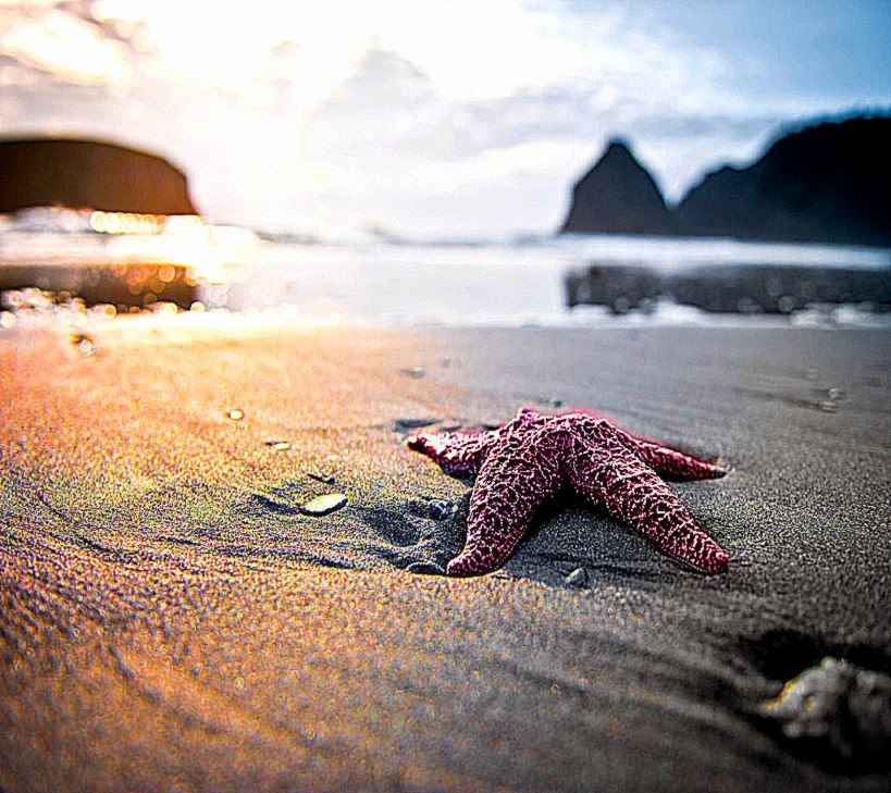 The Starfish Jason39s Spina Bifida Journey The Starfish Jason39s Spina Bifida Journey