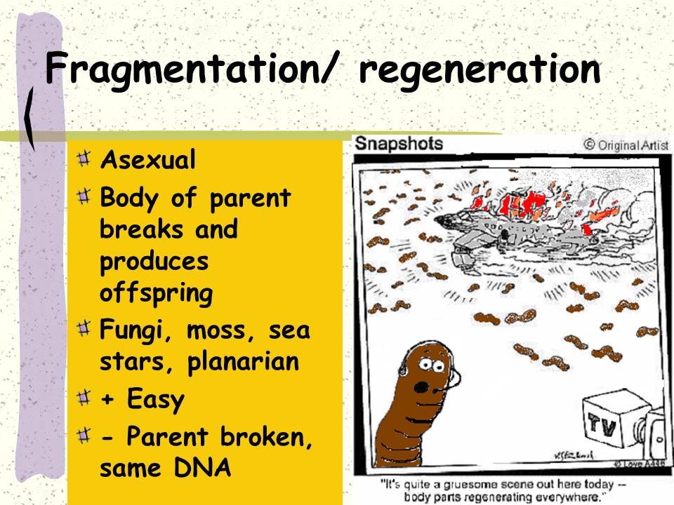Dissertation oliver schorsch 08 picture