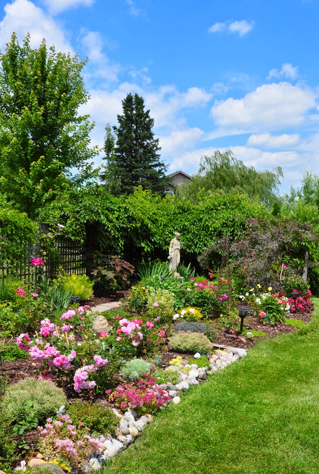 136 Best Cold Hardy Tropical Plants Images In 2020 Plants