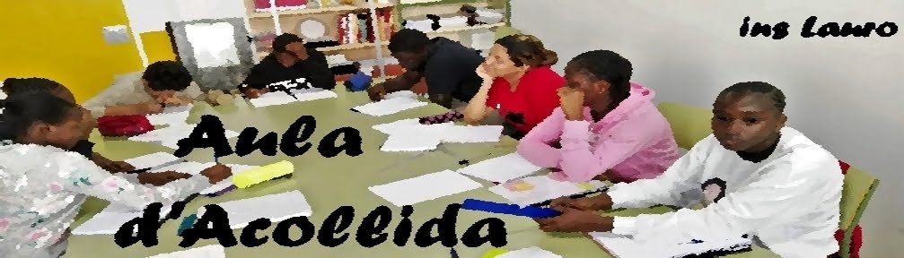 Aula d'Acollida ins Lauro