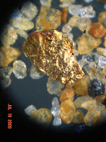 el oro