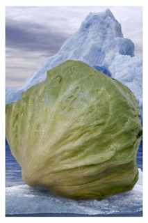 Iceberg is lettuce, so it's healthy, right??