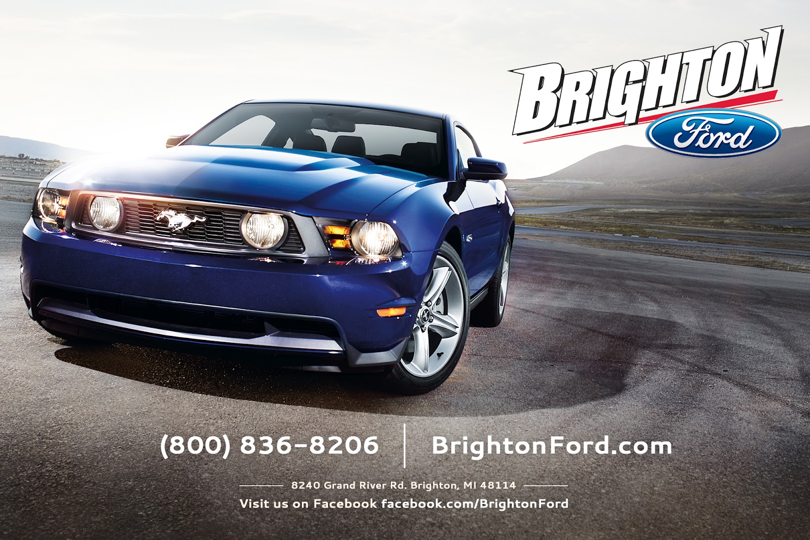 Brighton Ford 2012 Ford Mustang 'Horsing' Around Brighton, MI