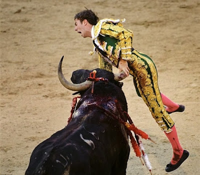 bull fighting accidents
