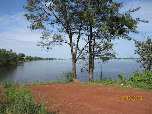Tyical wetland view, Thailand