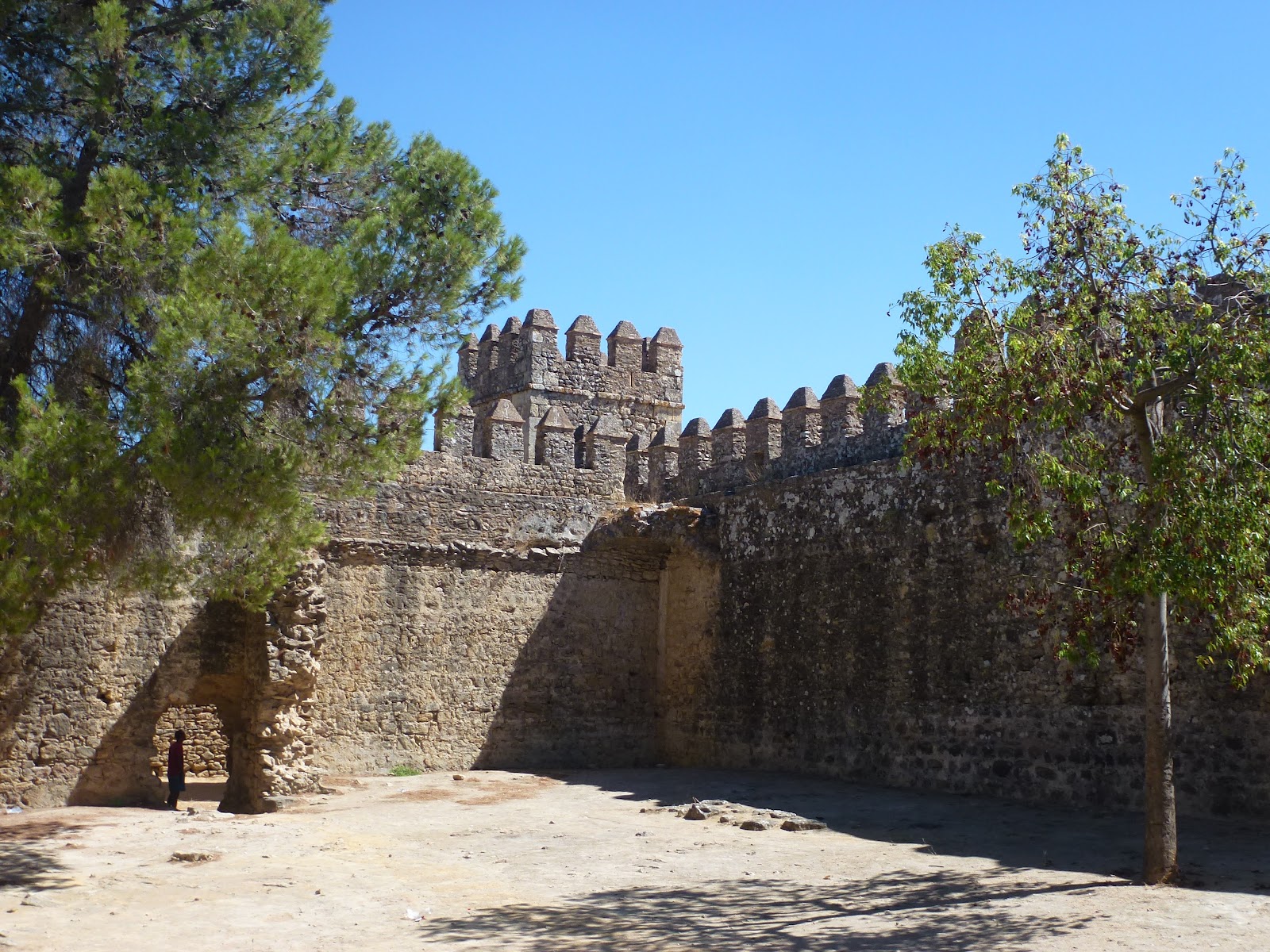 Olvera diary El Coronil revisited