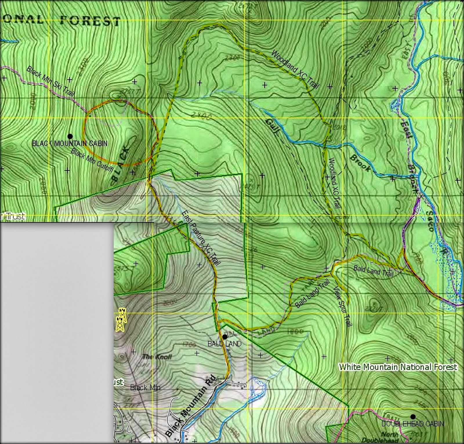 1HappyHiker Black Mountain (Jackson, NH) 2 Treks, 2 Days Apart!