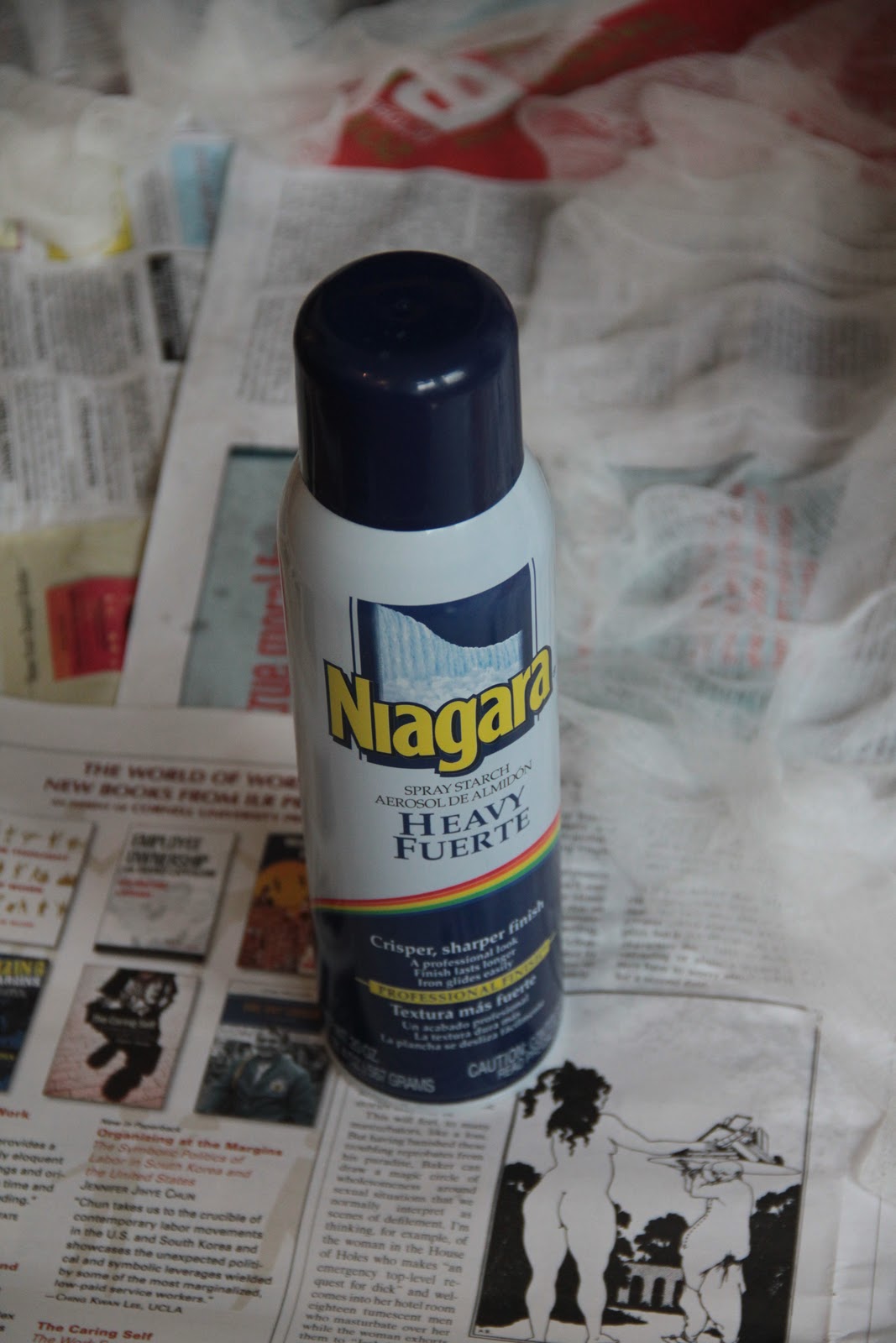 EAK! A House! Kitty Ghost Hunter